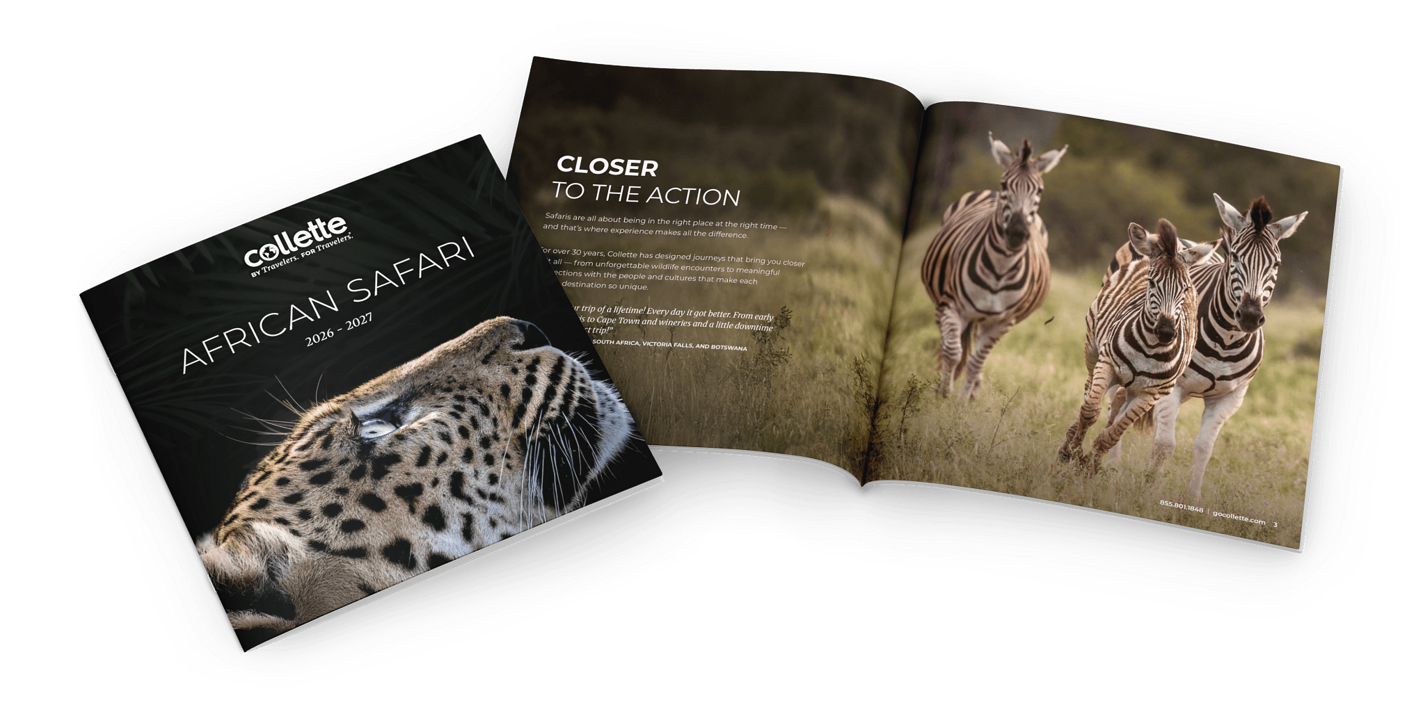 Collette African Safari Brochure Cover with Wildlife on it