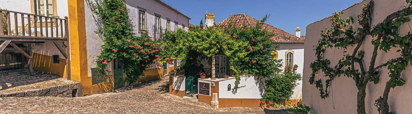 Sunny Portugal-hero-image