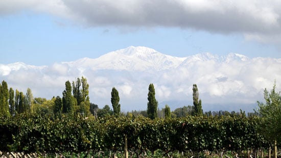 8lujandecuyowinerymendozaandthemountains