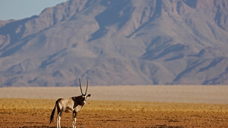 Etosha National Park Namibia