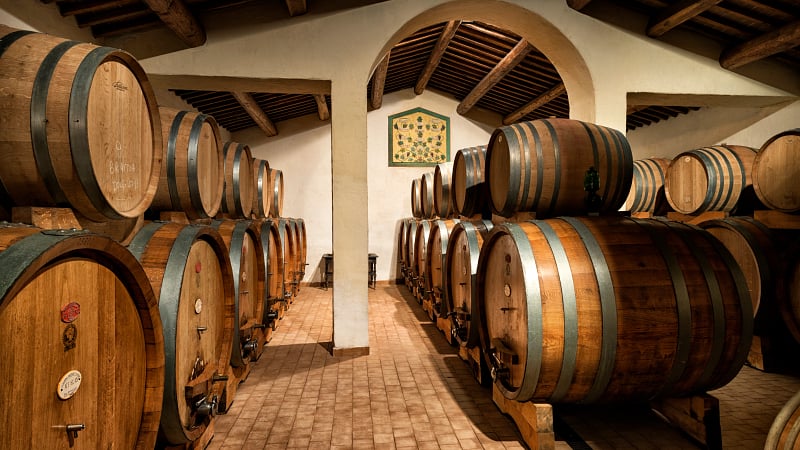 Wine cellar at Casato Prime Donne Winery in Italy