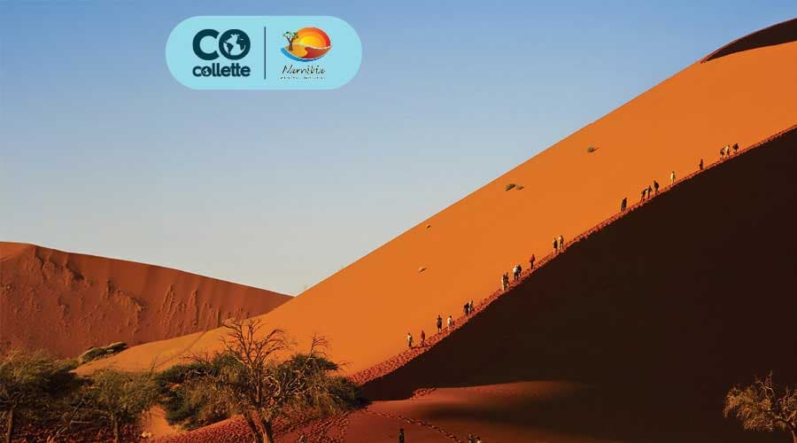 Namibia Blog Header v3