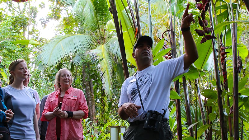 This image captures a guided nature hike taking place in the lush tropical ecosystem of the Monteverde Cloud Forest Reserve in Costa Rica.