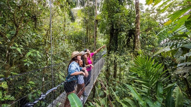 visitors standing on a suspension bridge at Místico Arenal Hanging Bridges Park, a famous eco-tourism reserve located near La Fortuna, Costa Rica.