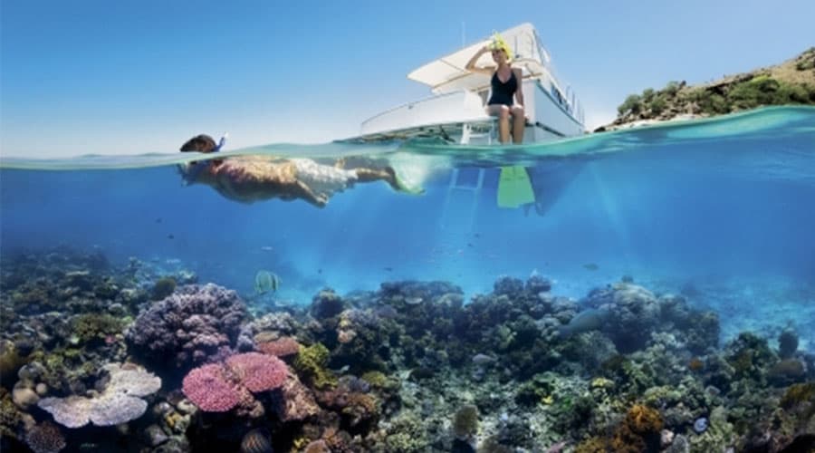 Reef