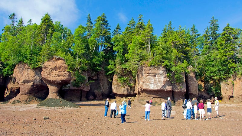 The Hopewell Rocks (also known as the Flowerpot Rocks), located within Hopewell Rocks Provincial Park on the shores of the Bay of Fundy in New Brunswick, Canada.