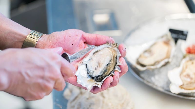 Oyster Shucking_126078452_AdobeStockRF.jpeg