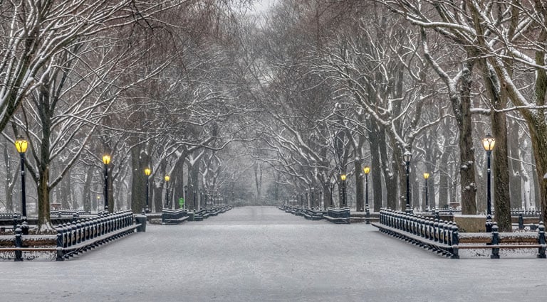 nyc iconic destination like no other