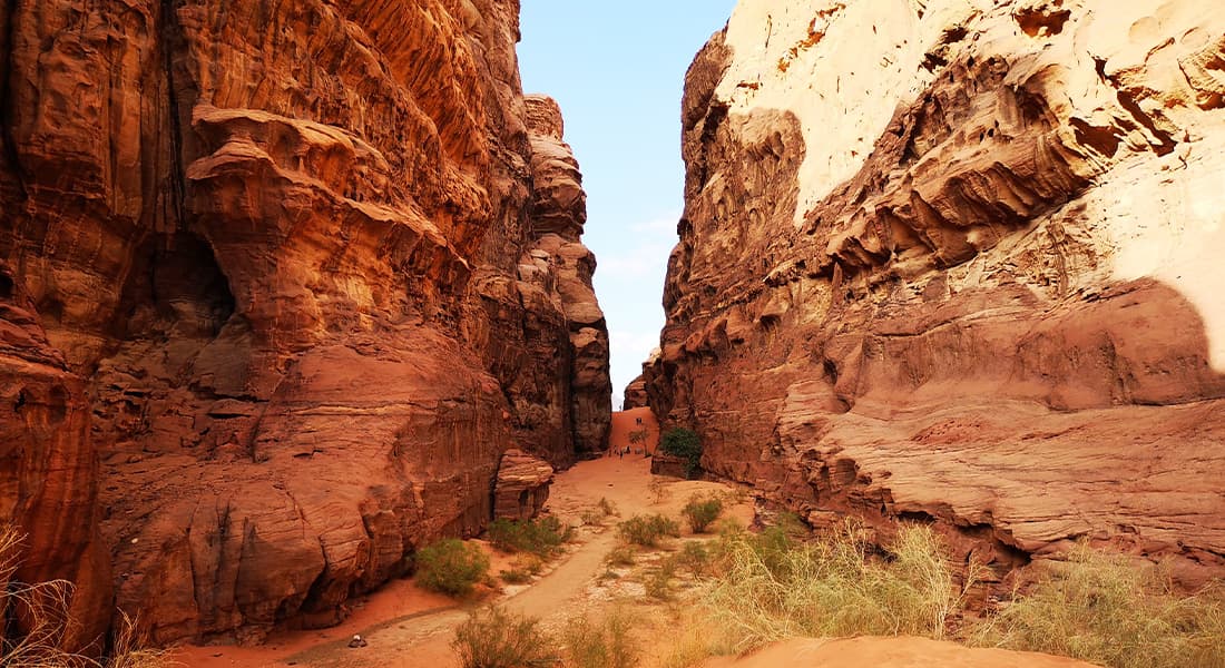 Backyard America Hero