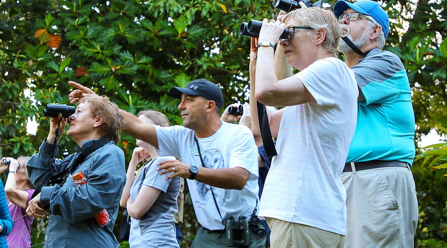 a group of birdwatchers (birders) on a guided outdoor nature tour.