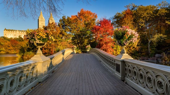 central-park-in-fall