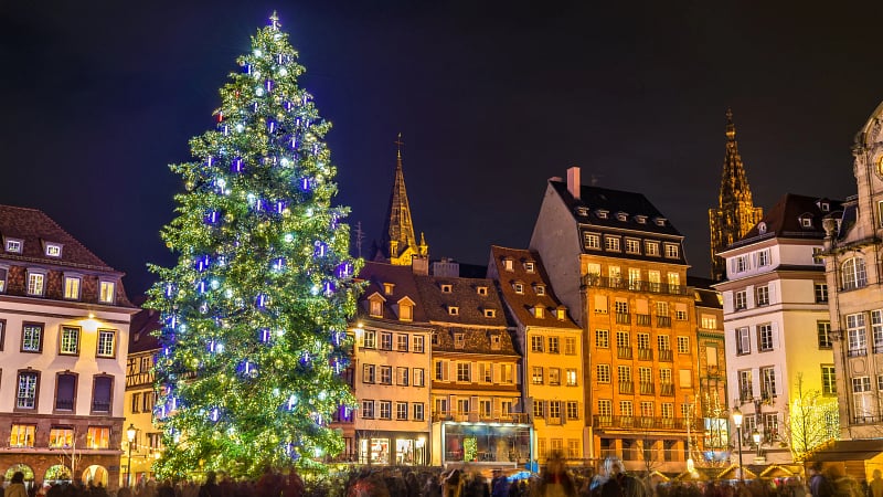 the famous, giant Christmas tree located in Place Kléber in Strasbourg, France.