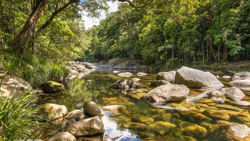 Mossman Gorge, a famous natural landform located in the southern sector of the World Heritage-listed Daintree National Park in Queensland, Australia.