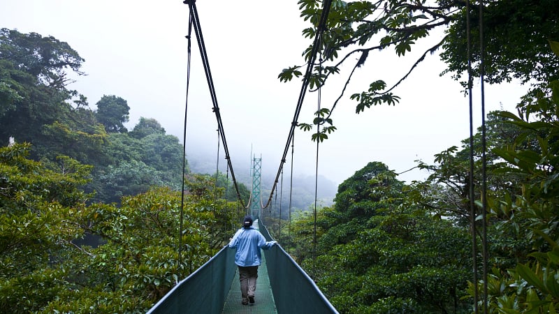 This is a canopy suspension bridge (often called a hanging bridge) located in the Monteverde Cloud Forest region of Costa Rica.