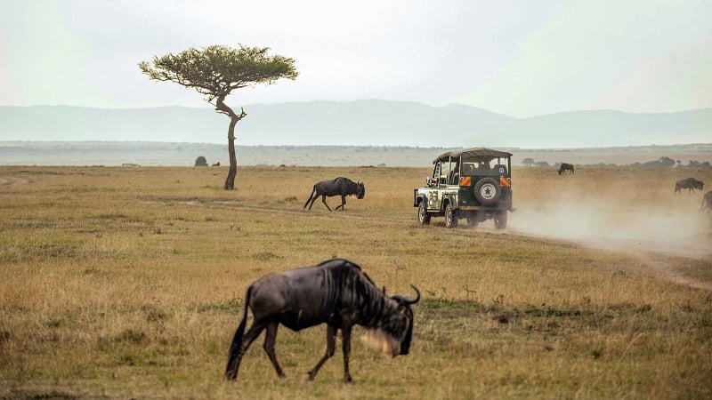 Safari in Tanzania