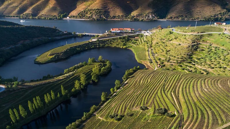 VEN_Hotel_VG_Douro_Vineyards_Portugal_009.jpeg