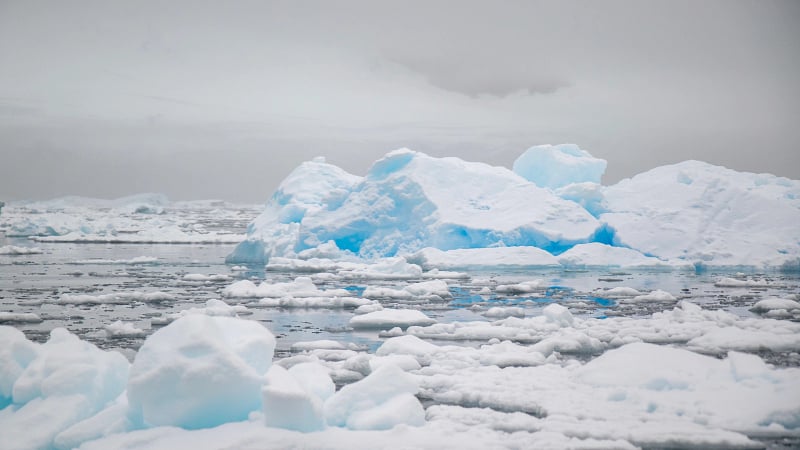 large icebergs and brash ice floating in the Antarctic Sea, a common sight along the Antarctic Peninsula.