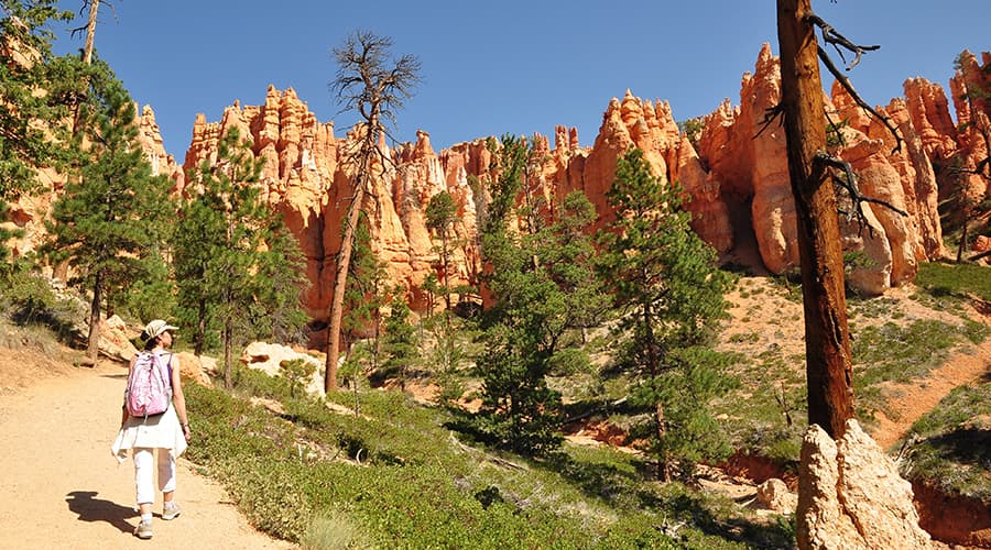 Hiker National Parks