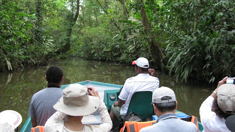 tourists on a guided boat tour through the jungle canals of Tortuguero National Park, located on the northeastern Caribbean coast of Costa Rica.