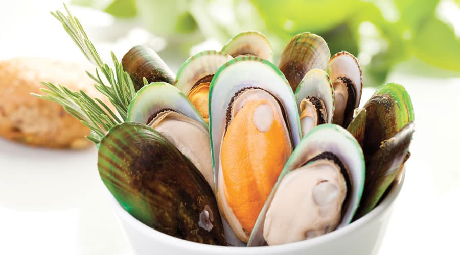 mussels in NZ