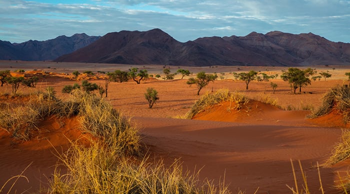 New Tours Namibia