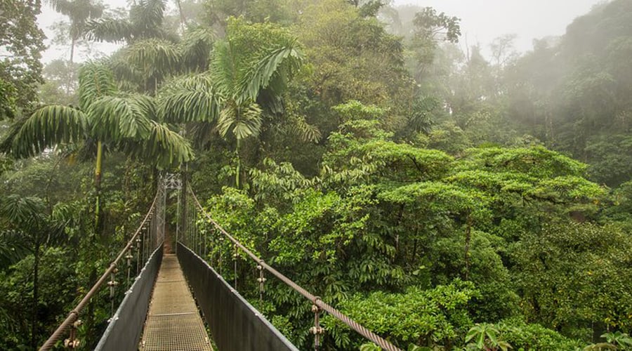 Arenal Hanging Bridges Costa Rica