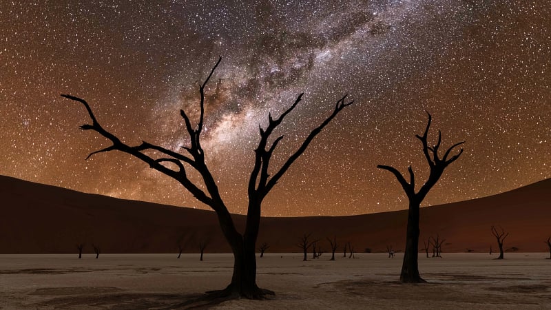 Namib Desert Namibia Africa