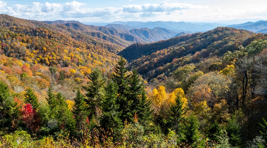 Great Smoky Mountains National Park