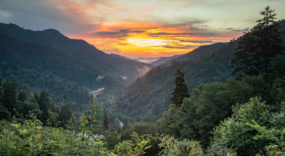 4CB9Y February 2024 Cohort Blog IMG 1