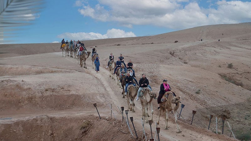 Morocco Sales Meeting