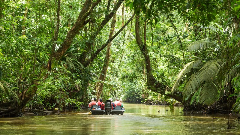 a boat tour exploring the jungle canals of Tortuguero National Park in northeastern Costa Rica.