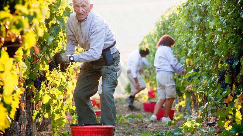 Wines of Northern Italy