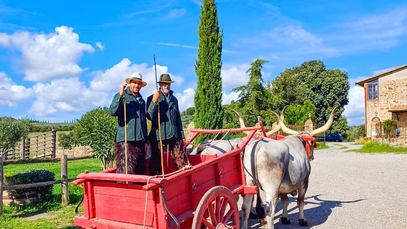 Traditional Italian cowboys in a wooden ox cart