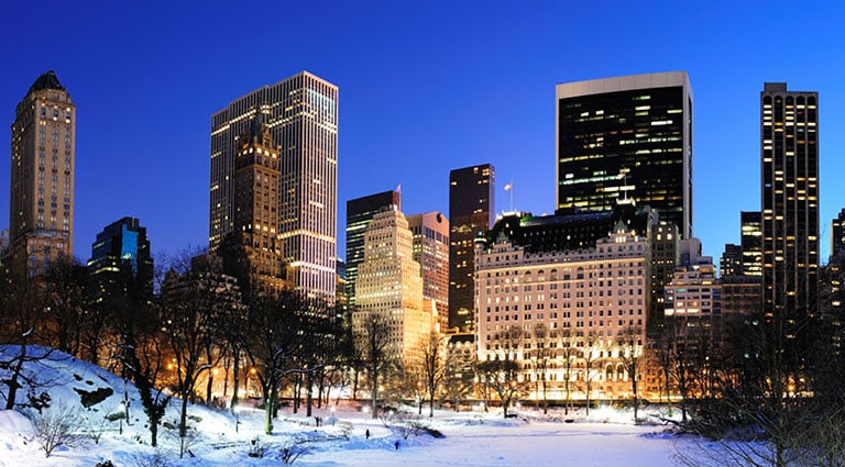 nyc times square and central park