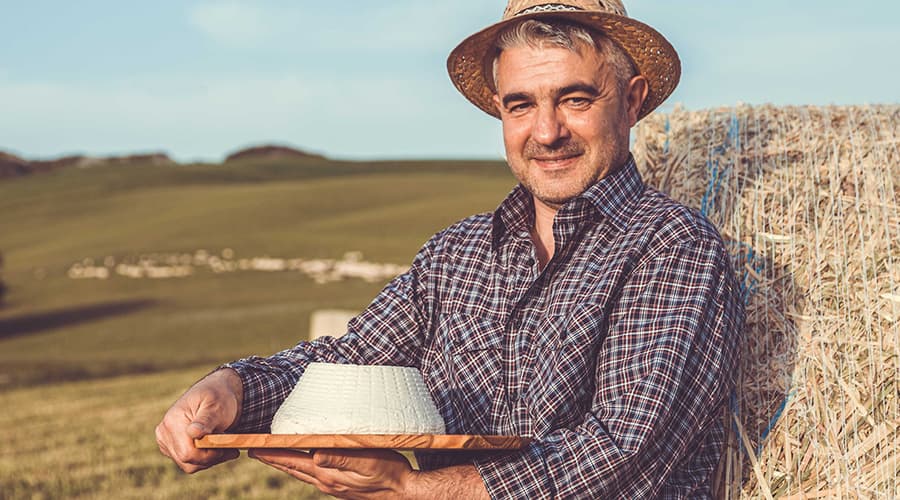 Cheese Maker in Tuscany Italy VEN Fattoria Pianporcino