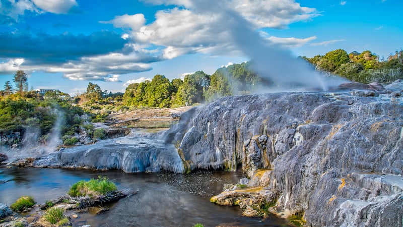 Pohutu Geyser in Te Puia Park, Rotorua, New Zealand