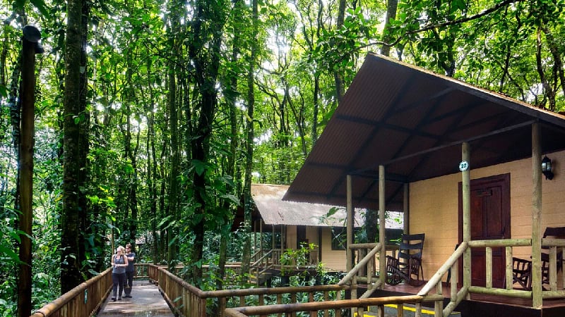 Elevated eco-lodge bungalows at Evergreen Lodge, an immersive rainforest resort situated right next to the famous Tortuguero National Park in Limón, Costa Rica.
