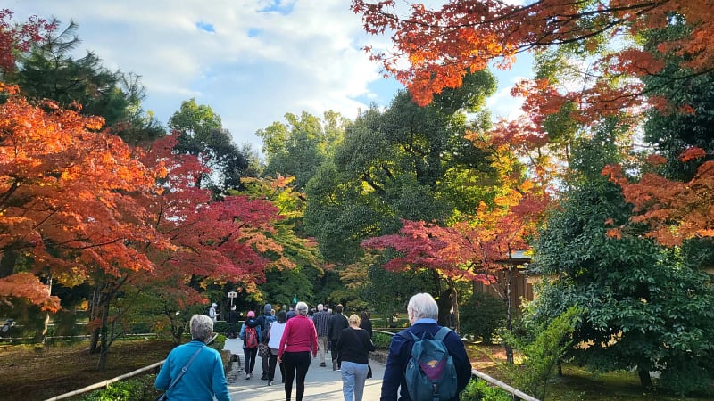 CVO-Japan-Day9 Kyoto.jpeg