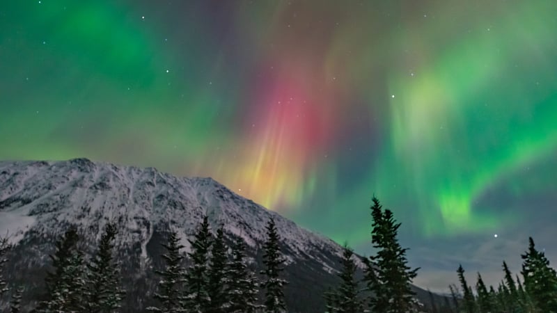 the Aurora Borealis over the snowy landscape of Whitehorse, Yukon, Canada.