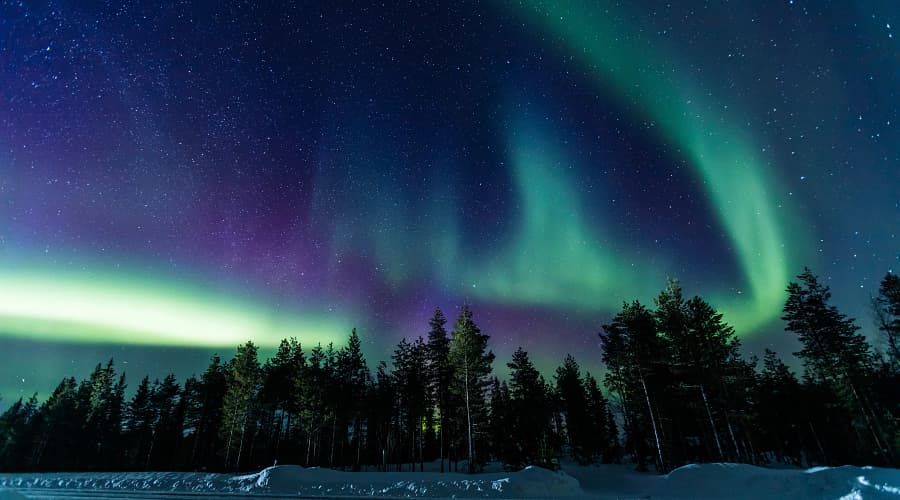 A vivid display of the Aurora Borealis (Northern Lights) above a dark pine forest.