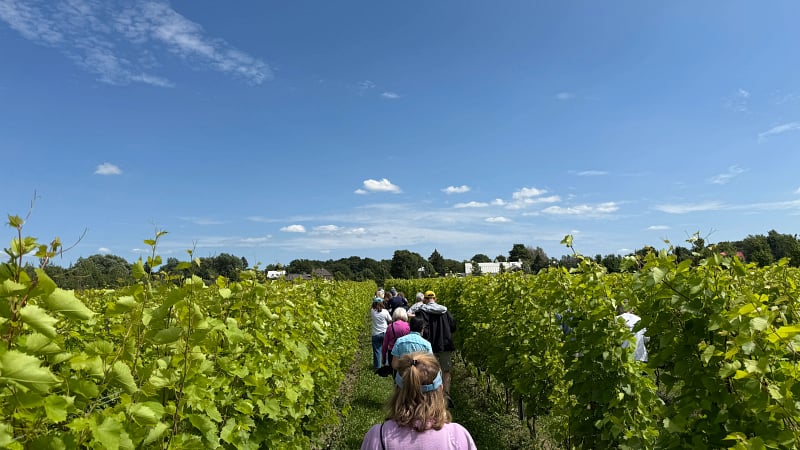 Saint Pierre Le Vignoble Winery