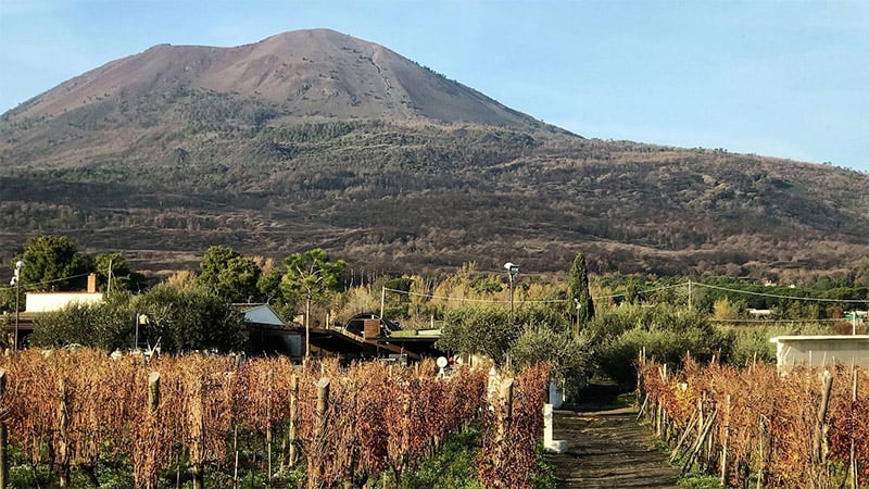 Wine Mount Vesuvius