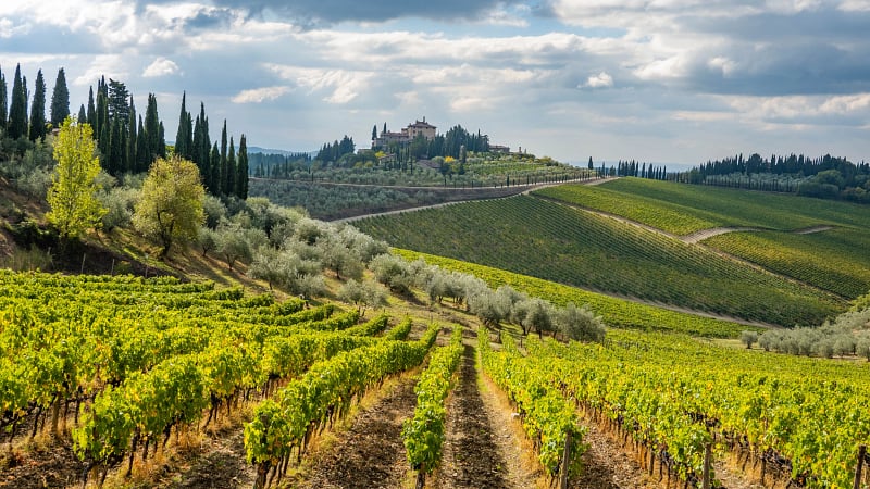 Wines of Central Italy