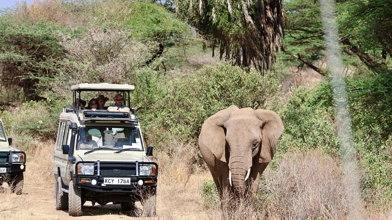 Pilanesberg National Park South Africa