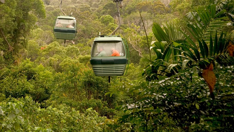 The Skyrail Rainforest Cableway, a famous tourist attraction located in Cairns, Queensland, Australia.
