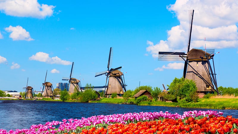 Colorful spring landscape in Netherlands