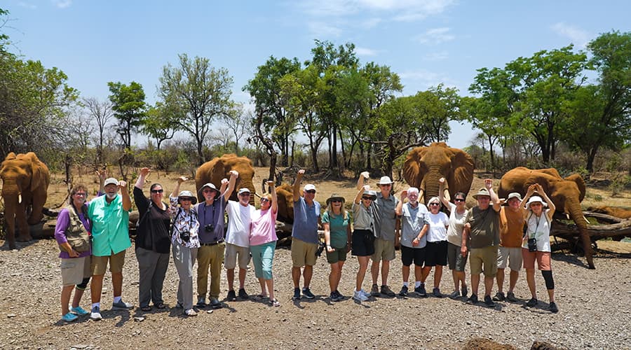 African Safari Tours