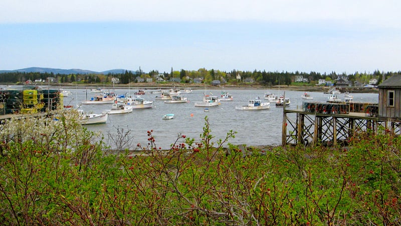 CVO_Bar_Harbor_Maine_0971.jpeg