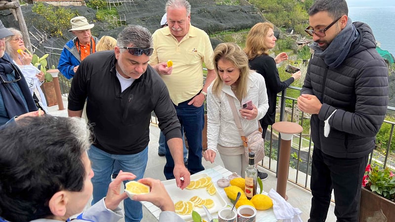 Gambardella Lemon Grove, Amalfi Coast, Italy.